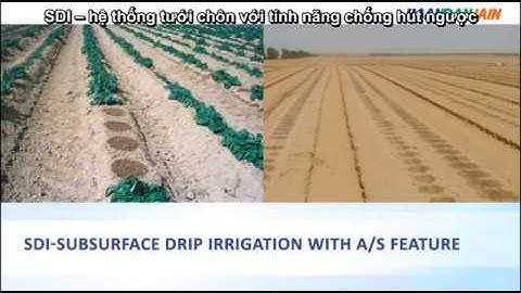 Dây nhỏ giọt bù áp Topdrip của Naandanjain Israel -  LH: 0866.030.909