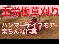 【草刈り】耕作放棄地・畦を楽に草刈りしよう。ハンマーナイフモア編MAKILONG MK-125