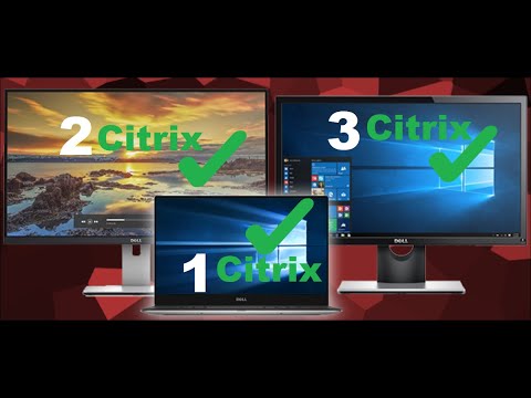 Use multiple monitors in Citrix application | Updated 2022 | with resolution issue fix