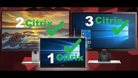 Use multiple monitors in Citrix application | Updated 2022 | with resolution issue fix