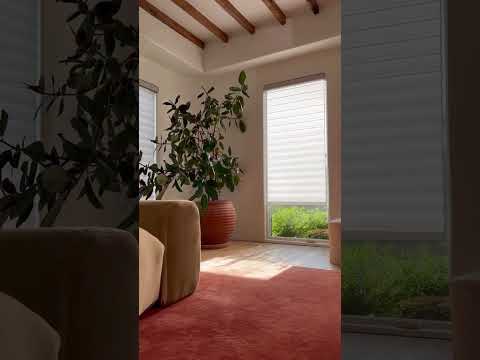 Captivating Windows Custom