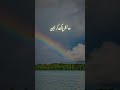Noor Editor 💯 k subscriber #duet #noorquran #calligraphy