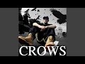 CROWS