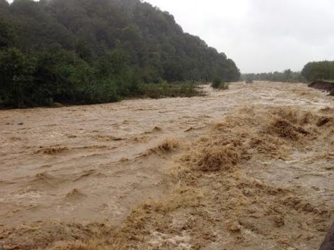 დახოცილი ფრინველი და დატბორილი სახლები - წყალდიდობა გორის რაიონში  22.05.2017