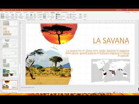 PowerPoint: Anteprima di Sezione