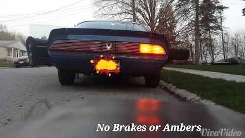 1981 Led Taillights Assembly