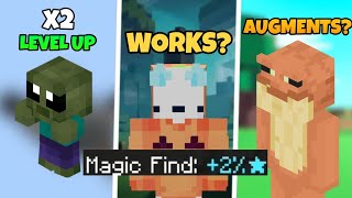 CraftersMC: Everything Related*Pets*🗣️ |How to level up your pets faster|Magic finds #craftersmc