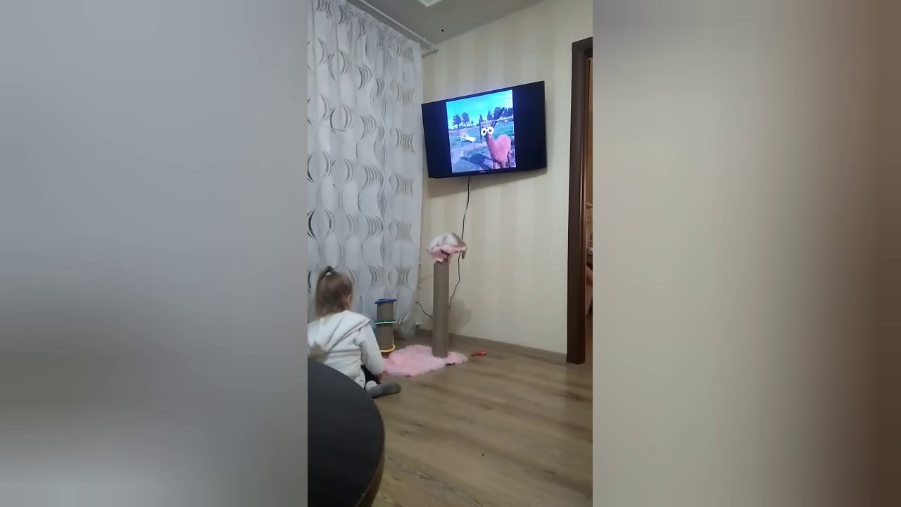 Пушистая радость , 