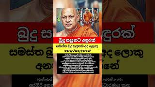 පින්කැට මුදල් ගැන ලොකු ප්රශ්නයක්! 😲 Atamasthana News Update #Buddhist #SriLanka #News