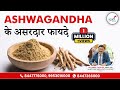 Ashwagandha : Side effects & Benefits | अश्वगंधा के अद्भुत फायदे  | Dr. Bimal Chhajer | SAAOL