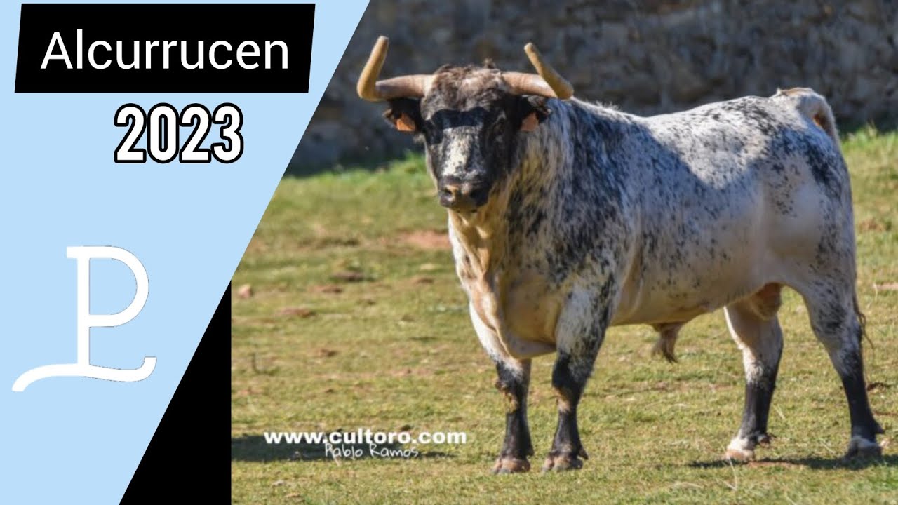 Toros de Alcurrucen [2023]