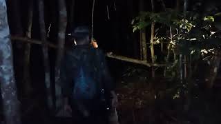 Berburu  Kancil Di Hutan Susu Hantuborneo Adventure Channel