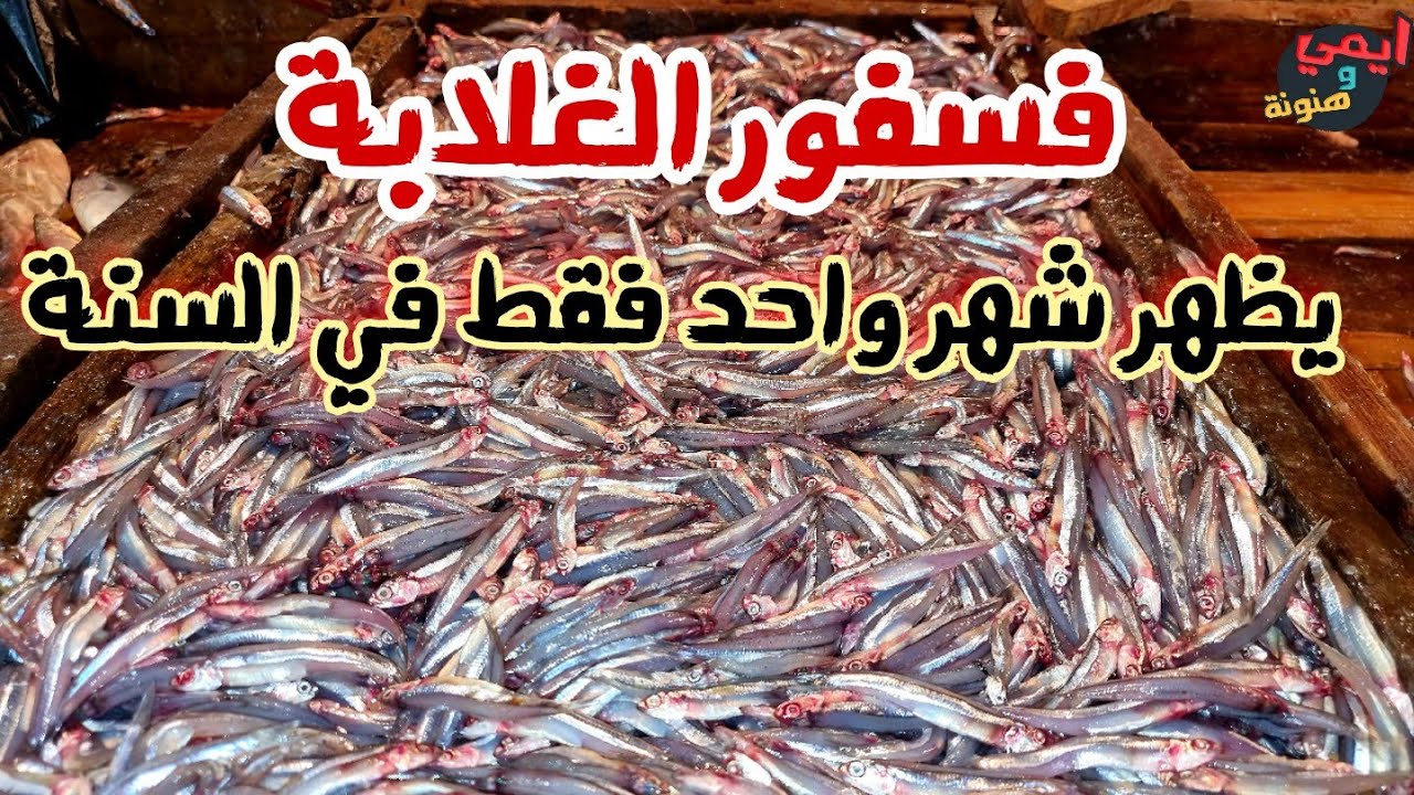 سر خطير للسمكة 🐟 التي تبحث عنها جميع سيدات العالم 💥 مع ايمي 