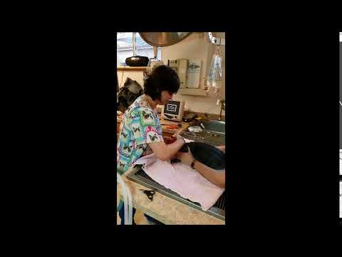 Penn Foster - Skill 9