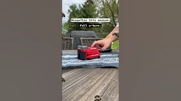 5 16 TikTok Mp4 