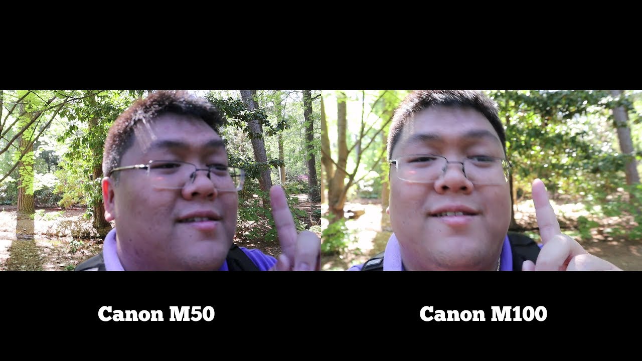 Canon M50 vs Canon Video Test - YouTube