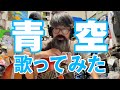 【歌ってみた】青空