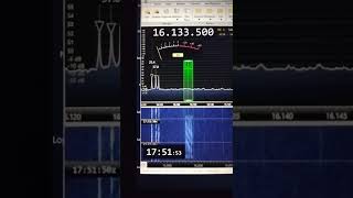 UNID 1