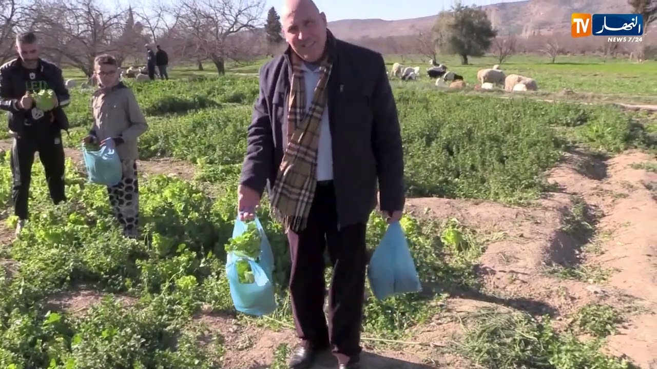 باتنة : اقتناء الخس والقصبر من الفلاح إلى المستهلك وسط حقول تينيباوين