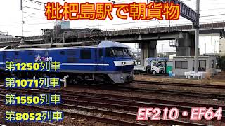 EF64-1035号機牽引の1550レを含む、貨物列車4本編集。