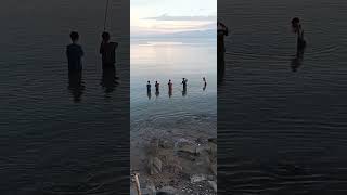 Kumpulan Angler Bocil Merendam Biji Calon Pengendali Buaya Palu #short #mancingtradisional