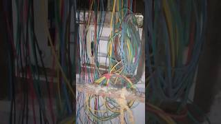 DB MCB Connection #electrical #wiring #wire #shorts #viral 🤣