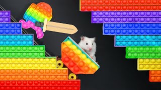 Download lagu 🐹 Hamster Vs Pop It Maze For Pets 🐹 Escape In Real Life mp3