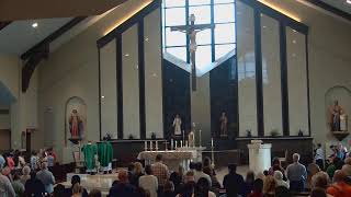 Fifteenth Sunday in Ordinary Time - July 12, 2026 09:30 A.M. Mass