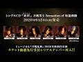 「新世（あらたよ）」刀剣男士 formation of 坂龍飛騰 リリース告知動画