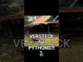 VERLASSENES Café im DSCHUNGEL | Olli und Jonny in Laos | Teil 31 #laos #travel #shorts