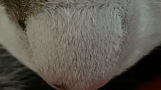 2 and 1/2 minutes of Patches (Part 1)