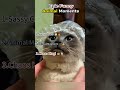 Ranking Funniest Drive-Thru Moments 🤣 #ranking #memes #funny #tiktok