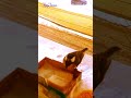 #Bluetit at the window//#Blaumeise am Fenster//im #Winter suchen viele #Vögel die Nähe zum Menschen