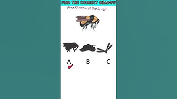 find the correct shadow #riddles #puzzle #challenge #quiz