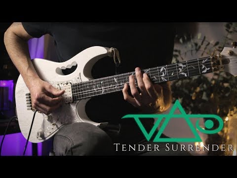 Steve Vai - Tender Surrender - Guitar Cover