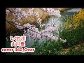 しぐれ川  山川豊 cover 360_Over
