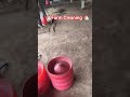 Farm Cleaning New Batch Ki Tyari #freerangechickens #chicken #trending #viral #farming