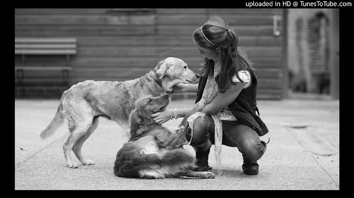 Mad Dogs - Sudden Journey (Leon Alexander Remix) [...