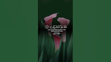 تلاوة سورة النمل / تلاوة القران الكريم / استمع للقران و استمتع