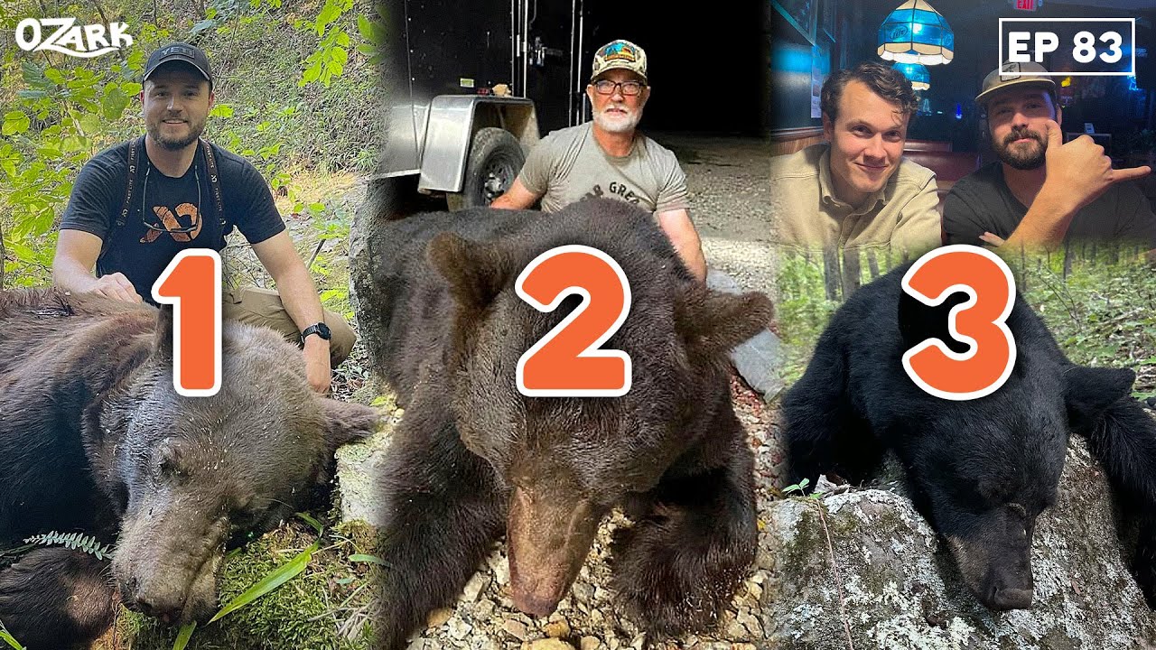2023 Bear Hunting Stories from the Ozarks Ep. 83 The Ozark Podcast