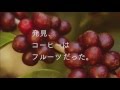 発見！コーヒーはフルーツだった～ファディ～