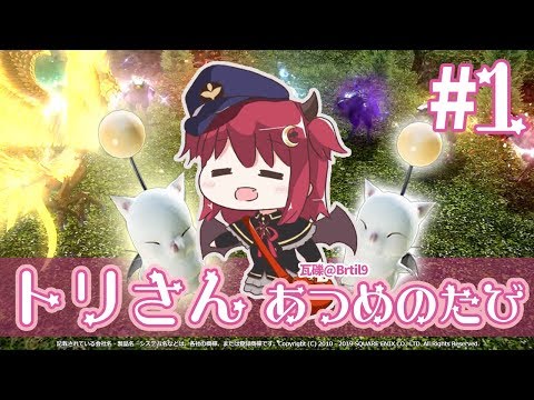 【FF14】とりさんあつめるのだ！【極ニーズ】