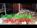 Quy Trình Trồng Nấm Rơm Trong Nhà Kín Trên Rơm Đạt Năng Suất Cao/Nấm Sạch Cho Mọi Nhà