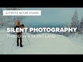 Exploring the Wilderness of Finland through VINTAGE FILM LOOK | Calming authentic nature sounds