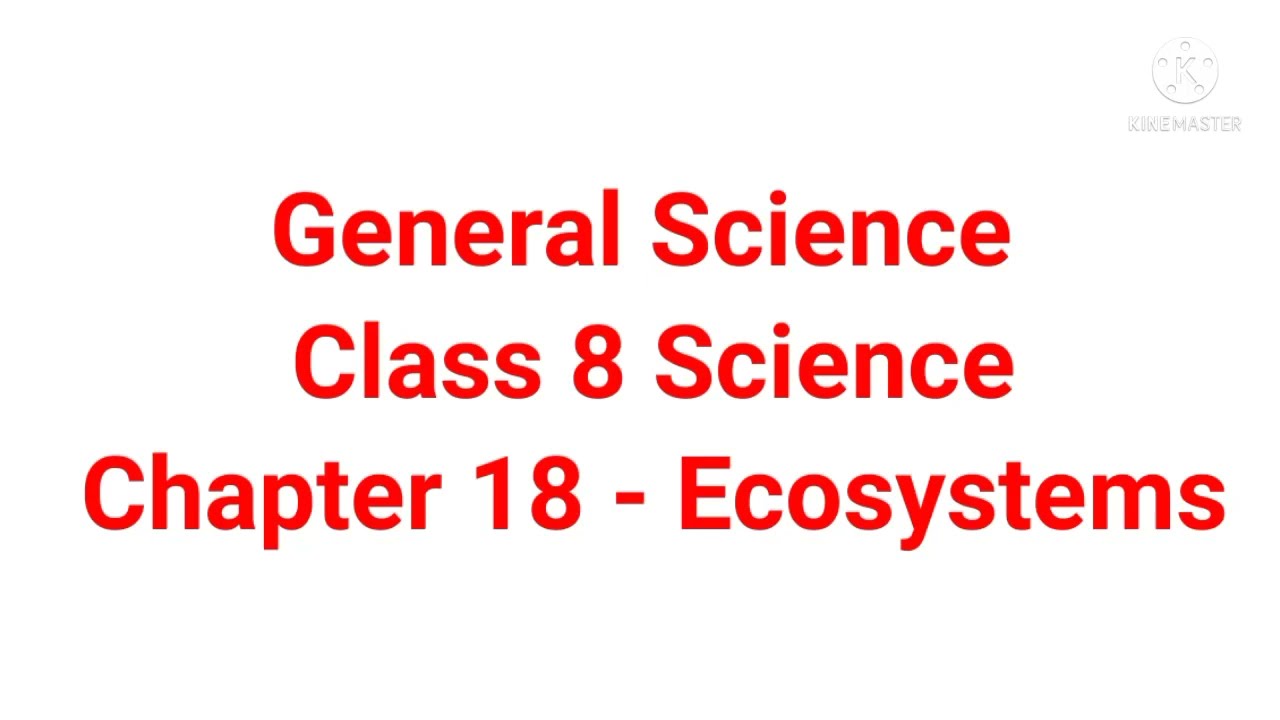 Maharashtra Board Class 8 Science Chapter 18 Ecosystems