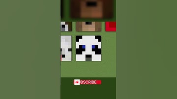 Minecraft "Panda-1" FACE PIXEL ART