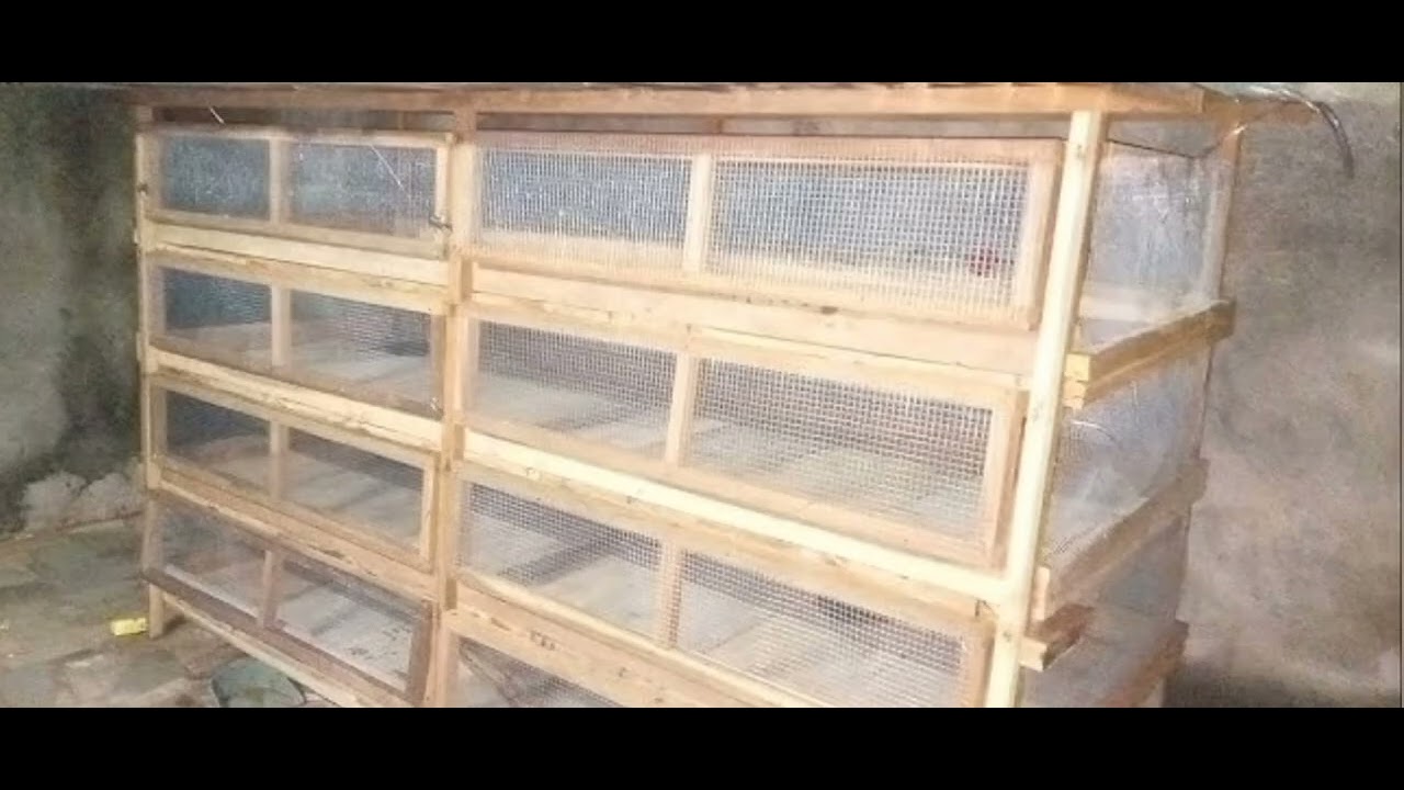 Ubworozi Bw'Inkoko🐔🐓Inzu Z'Inkoko Nziza Cane Kandi Zigezweho(Élevages En Battérie)