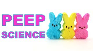 5 Science Experiments You Can Do With Peeps