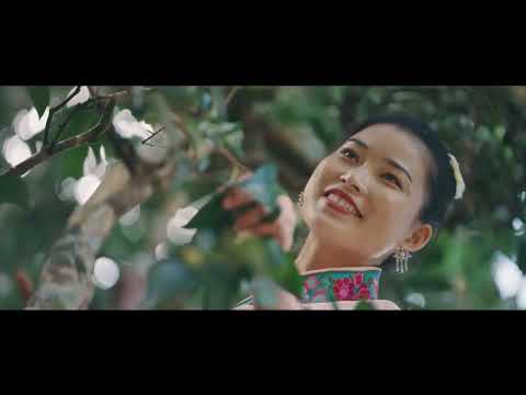 Miraculous Leaf 叶之灵 - Trailer