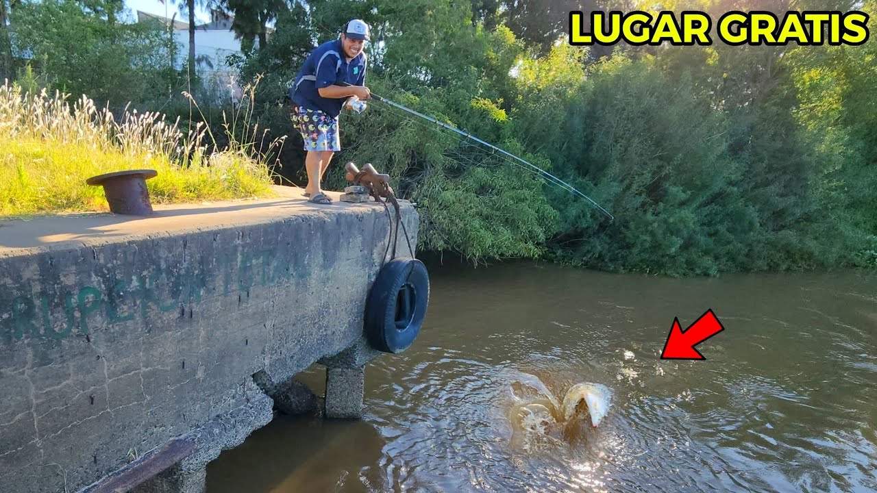TE MUESTRO UN LUGAR de PESCA GRATIS NUEVO, Pesca en el Río Paraná, SALIERON las BOGAS.